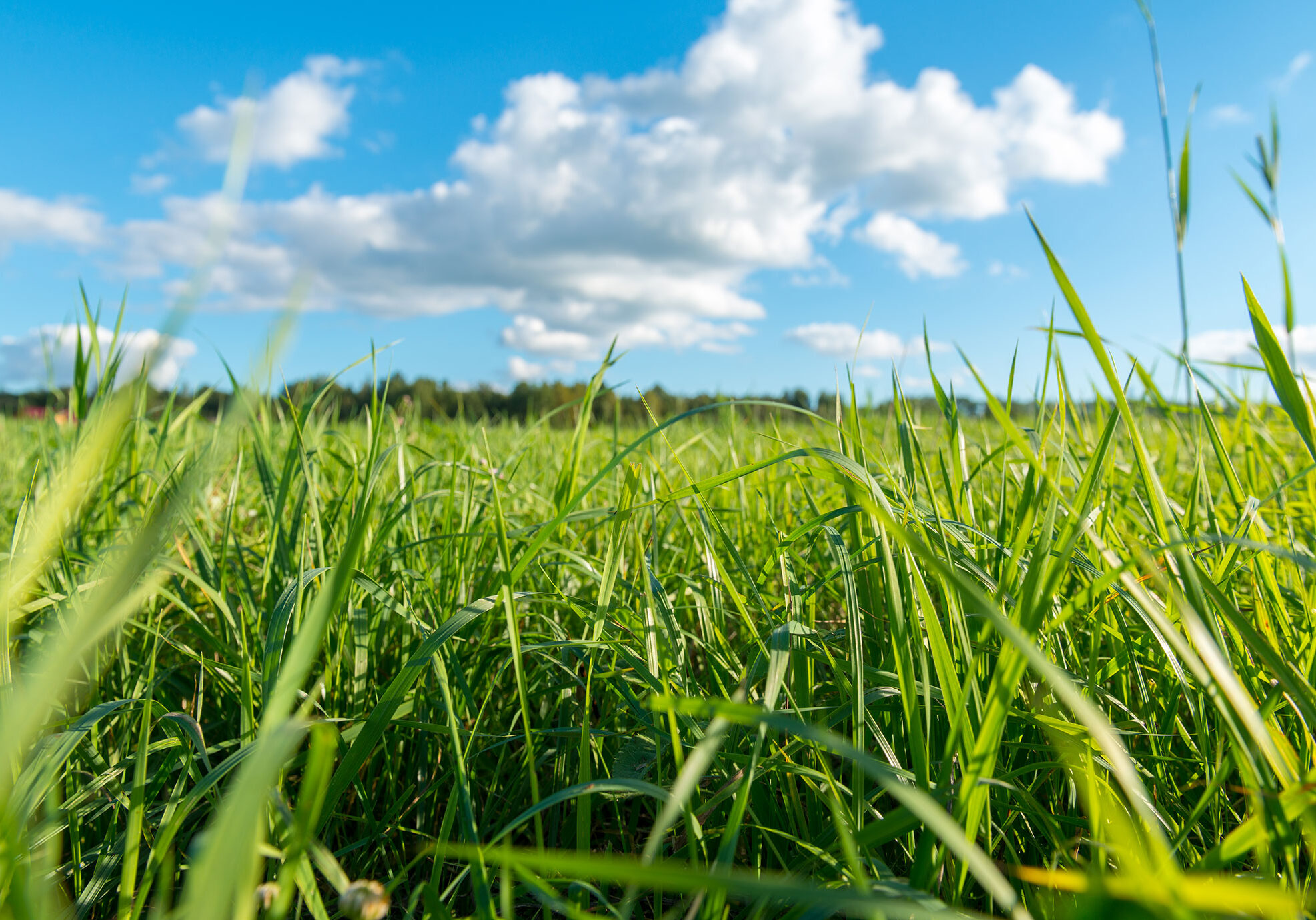 Cata_Agro_Afbeelding1_WEB