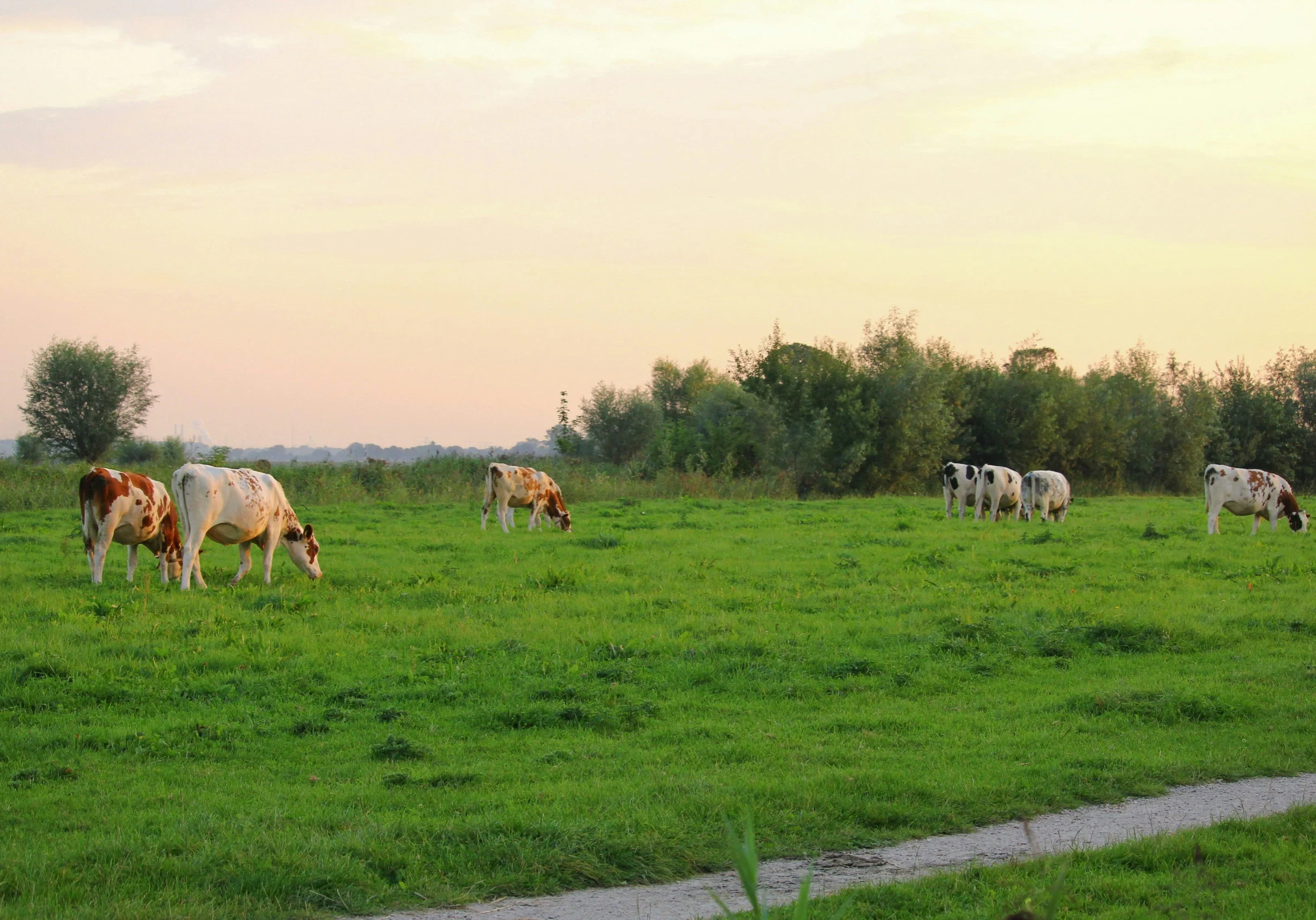 Cata_Agro_Afbeelding1_WEB