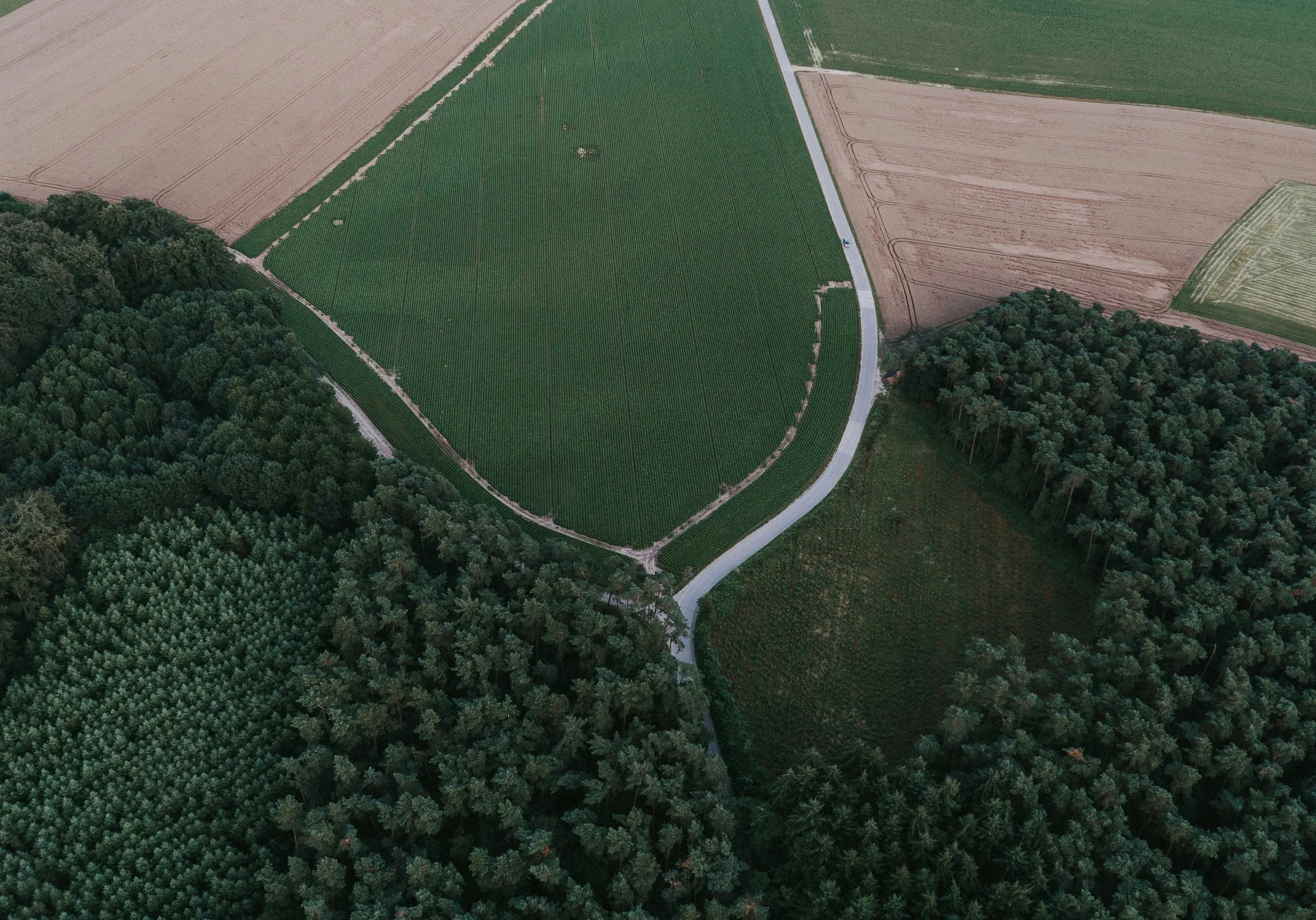 Plattelandsaanzicht